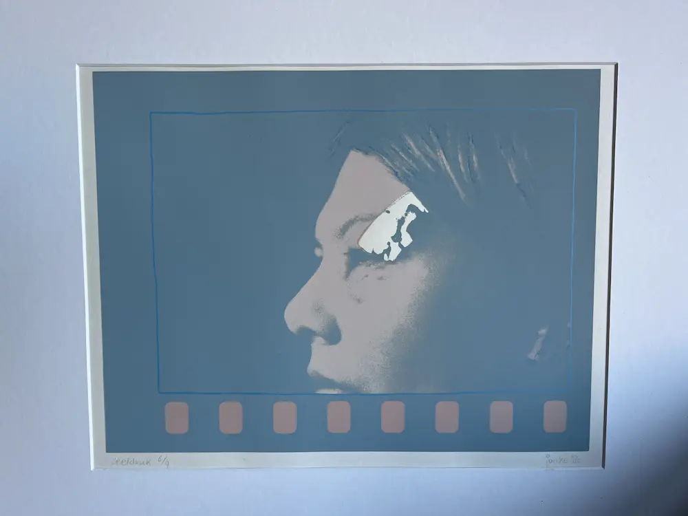 Janke de Vries (1949)