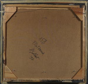 Jan Bollaert - Acryl op papier, Photomonde skunk - Ingelijst kopen? Bied vanaf 50!