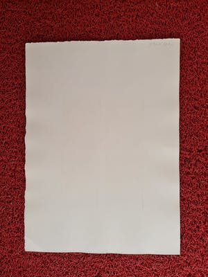 Hadewijch Ouwendijk - Zeer kleine oplage (20ex) Handgekleurde Litho "vier jaargetijden" kopen? Bied vanaf 1!