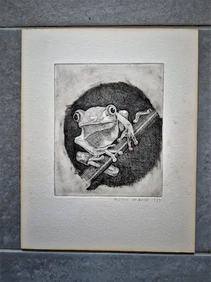 Hester de Beus - Leuke 1977 E.A. droge naald Ets "(gif)Kikker op tak" gesigneerd kopen? Bied vanaf 28!