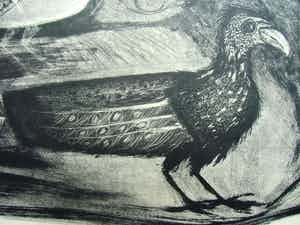 Jan Bezemer - ARGUSVOGEL /// LITHO VAN JAN BEZEMER verkocht voor € 50!