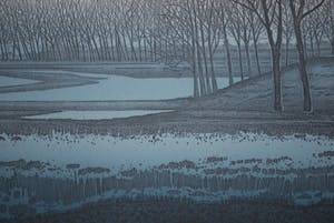 Hans Heijman - Landschap Vleugeldijk - grote kleurets oplage 60 ex. kopen? Bied vanaf 90!