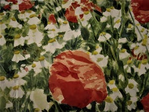 Ger van Dijck - Galerie Mia Joosten - GROOT! gesigneerde Gouache "Voorjaarsweide met Klaprozen" kopen? Bied vanaf 10!