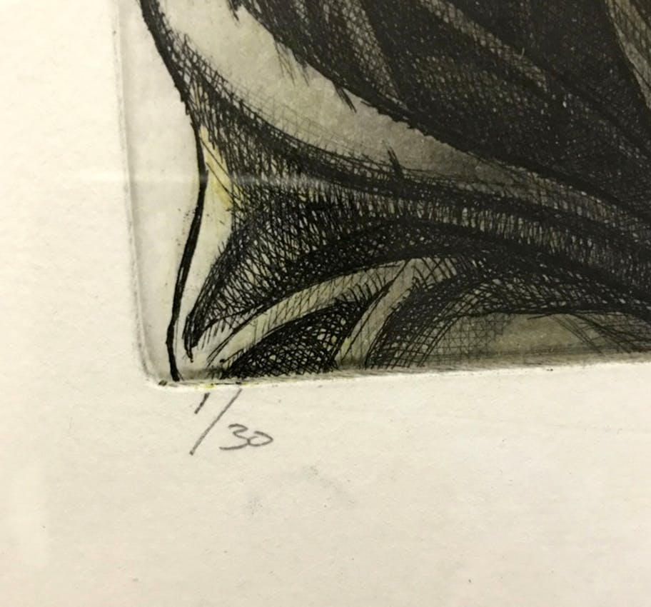 Ed van der Kooy - Lithografie kopen? Bied vanaf 25!