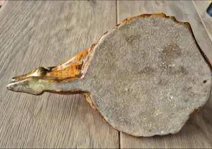 Sylvie Montagnon - Kneeling woman kopen? Bied vanaf 125!