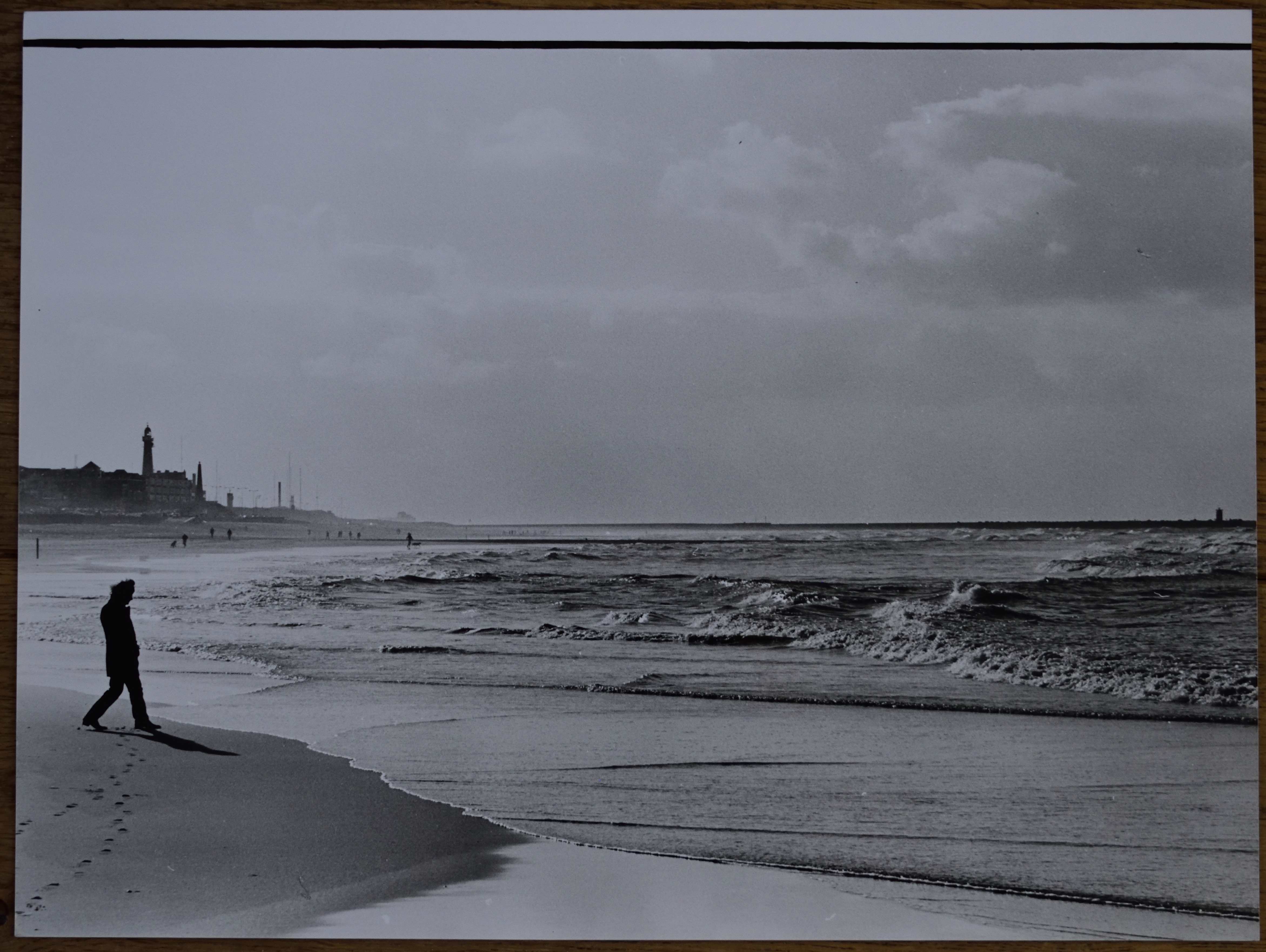 Nico Koster - Strand kopen? Bied vanaf 60!