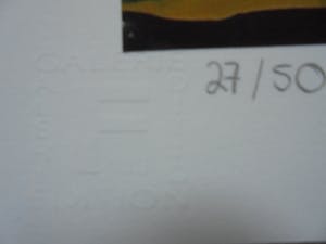 Stefan Szczesny - "Nude" kopen? Bied vanaf 1!