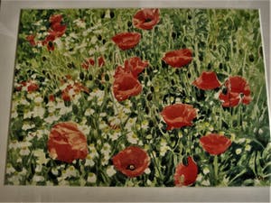 Ger van Dijck - Galerie Mia Joosten - GROOT! gesigneerde Gouache "Voorjaarsweide met Klaprozen" kopen? Bied vanaf 10!