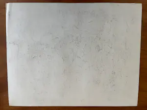 Cornelis Jan Mension - Tekening van een rustende leeuw en leeuwin, gemaakt in Artis kopen? Bied vanaf 85!