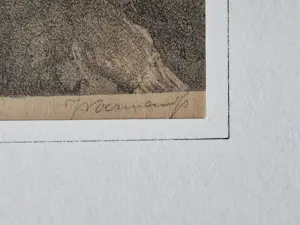 Jan Voerman (jr.) - Grote lithografie - 1925 - "bloeiende potplant" - beperkte oplage (100) kopen? Bied vanaf 38!