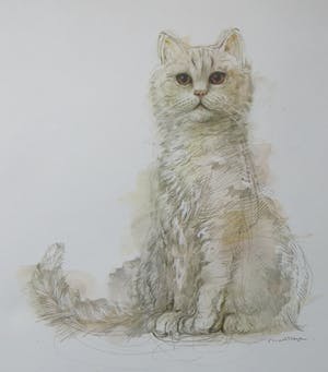 Niet of onleesbaar gesigneerd - Mads Stage - 4 Studies of Cats kopen? Bied vanaf 1!