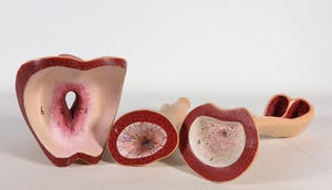 Merijn Bolink - Beschilderd polyester, The Pentasexual System (incl. gesigneerd boek) kopen? Bied vanaf 50!