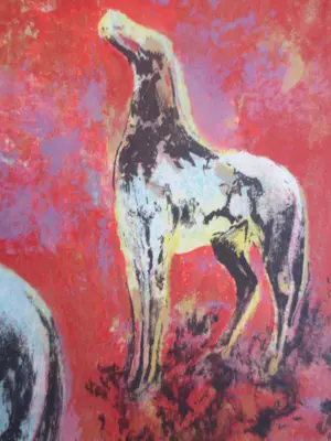 Frits Klein - Circuspaarden kopen? Bied vanaf 150!