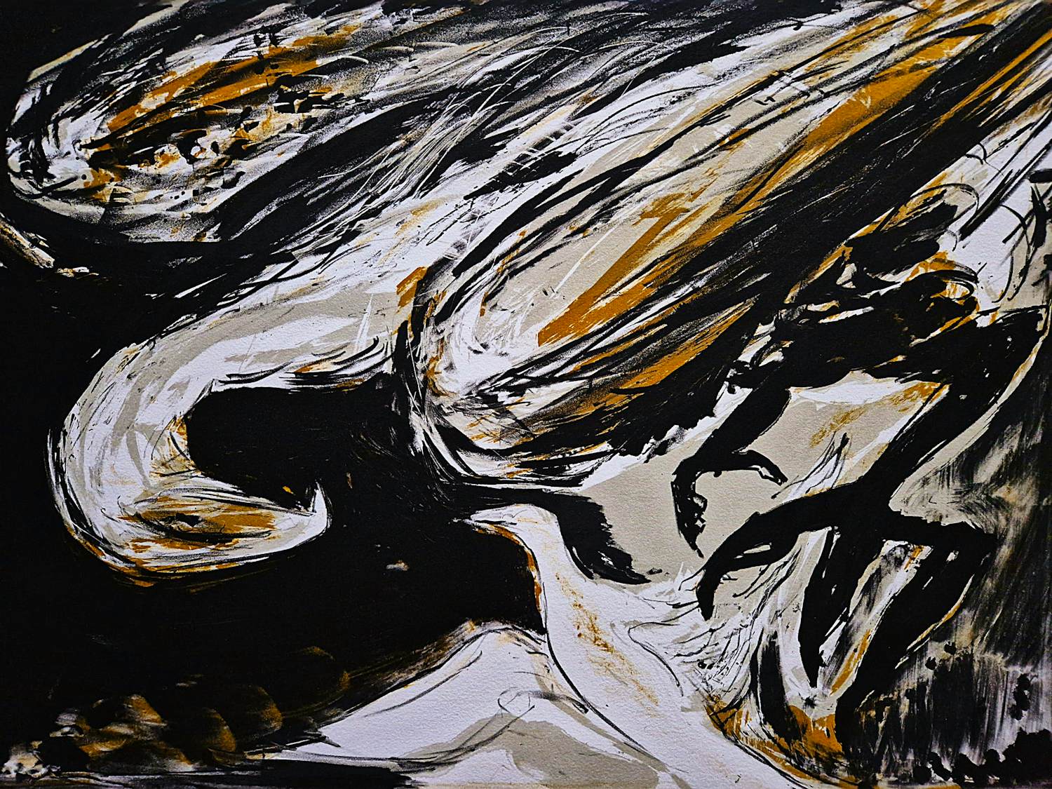 Gerbrand Volger - Grote kleuren lithografie "duikvlucht" - beperkte oplage (60) - gesigneerd kopen? Bied vanaf 37!