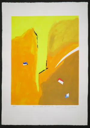 Gerard Bijnens - Zeefdruk, Tekens in tijdloze kleurvelden kopen? Bied vanaf 1!