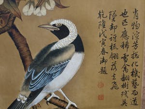 Niet of onleesbaar gesigneerd - Japanse of Chinese scroll, “Vogel op tak” - Aquarelverf en inkt op papier kopen? Bied vanaf 1!