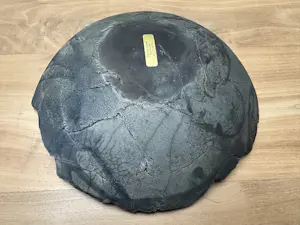 Anke van der Kwaak - Raku kopermat schaal kopen? Bied vanaf 29!