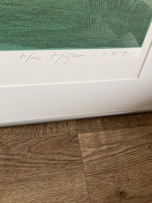 Hans Heijman - Kleurenets ‘ Taal van het rivierenland ‘’ kopen? Bied vanaf 60!