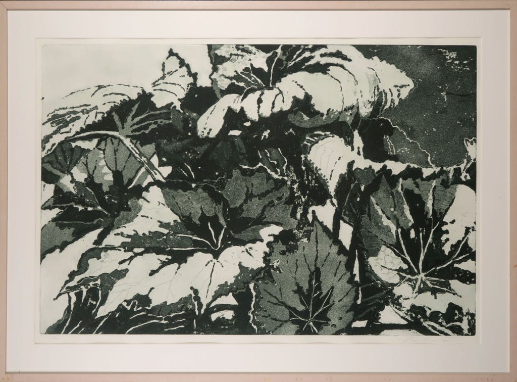 Jacques van Erven - Jacques van Erven: Ets en Aquatint, Bladeren van een plant - Ingelijst (Groot) verkocht voor € 35!