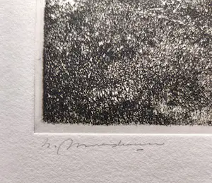 Willem Minderman - Struiken, ets kopen? Bied vanaf 45!