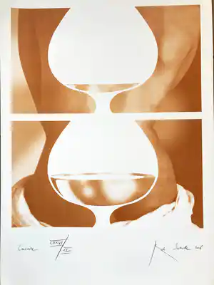 Rob Scholte - Cascade (groot) verkocht voor € 145!