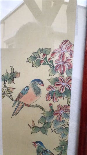 Niet of onleesbaar gesigneerd - Paradijsvogels kopen? Bied vanaf 1!