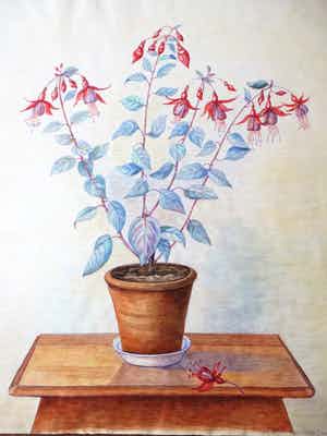 Antoinette van Hoytema - Stilleven met plant op tafel - Gemengde techniek verkocht voor € 60!