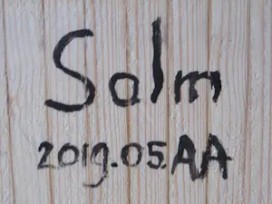 Eric van Solm - 2019.05.AA kopen? Bied vanaf 835!