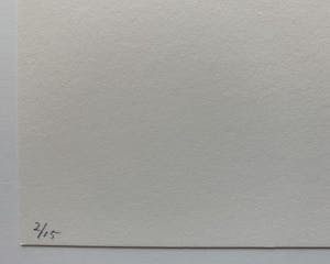 Bert Loerakker - kleurenzeefdruk - zonder titel - 1995 (Zeer kleine oplage) kopen? Bied vanaf 95!