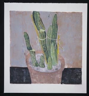 Betty Scheer - Linosnede, Grote cactus kopen? Bied vanaf 35!