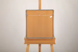 Wout Muller - Did you see? kopen? Bied vanaf 50!