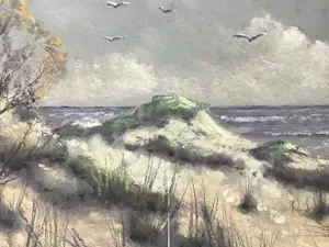 Gerard Cox (jr.) - Duinzicht. kopen? Bied vanaf 30!