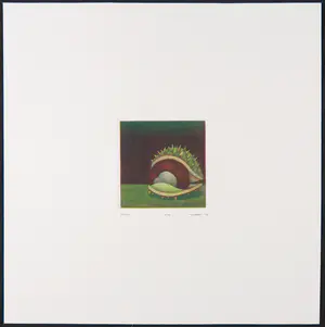 Joop Vegter - Mezzotint, Kastanje kopen? Bied vanaf 50!