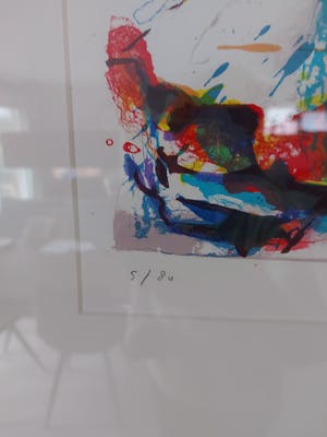 Paul de Vries - Roos kahului kopen? Bied vanaf 200!