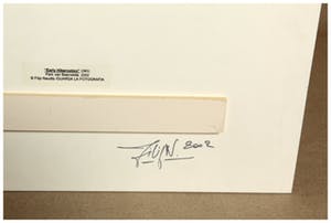 Filip Naudts - Early Hibernation kopen? Bied vanaf 15!