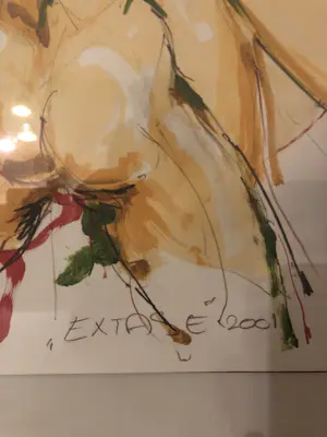 Kees Verkade - Extase 2001 kopen? Bied vanaf 45!