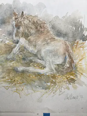 Piet Klaasse - Paarden, proefdrukken offsetlitho, 2-zijdig bedrukt, gesigneerd in druk kopen? Bied vanaf 25!