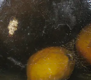 Niet of onleesbaar gesigneerd - Olieverf op doek, Stilleven met citrusvruchten - Ingelijst kopen? Bied vanaf 1!