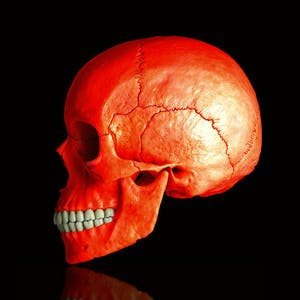 Mr. Strange - Death in Red kopen? Bied vanaf 60!