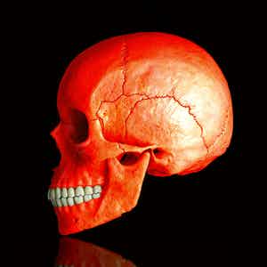 Mr. Strange - Death in Red verkocht voor € 60!