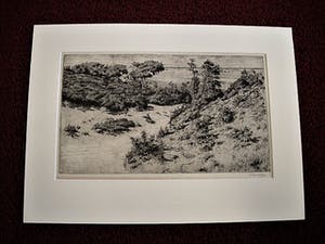 Niet of onleesbaar gesigneerd - Circa 1930 - grote droge naald Ets "Duinlandschap" gesigneerd kopen? Bied vanaf 1!