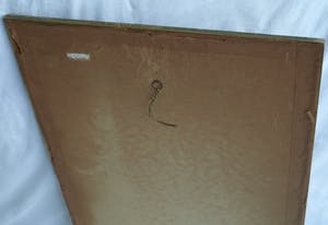 Niet of onleesbaar gesigneerd - Ingelijste aquarel op zijde, Japan? China? , Papagaai kopen? Bied vanaf 1!