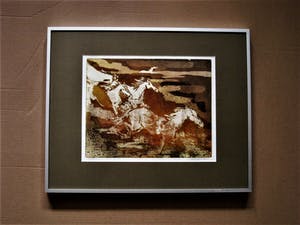 Niet of onleesbaar gesigneerd - gesigneerde, in zeer kleine oplage gemaakte Litho "Wilde Paarden" kopen? Bied vanaf 1!