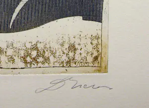 Dan Erceanu - Zaubervogel. kopen? Bied vanaf 39!