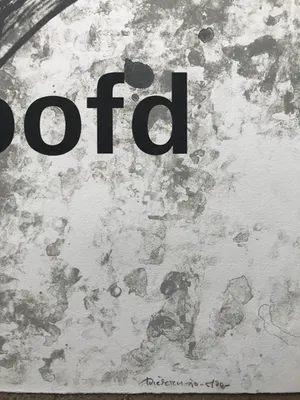 Jef Diederen - 2 Prachtige litho's - 1996 - Mooi Hoofd - 57/80 kopen? Bied vanaf 1!