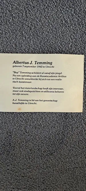 Albert Temming - Winterlandschap kopen? Bied vanaf 210!