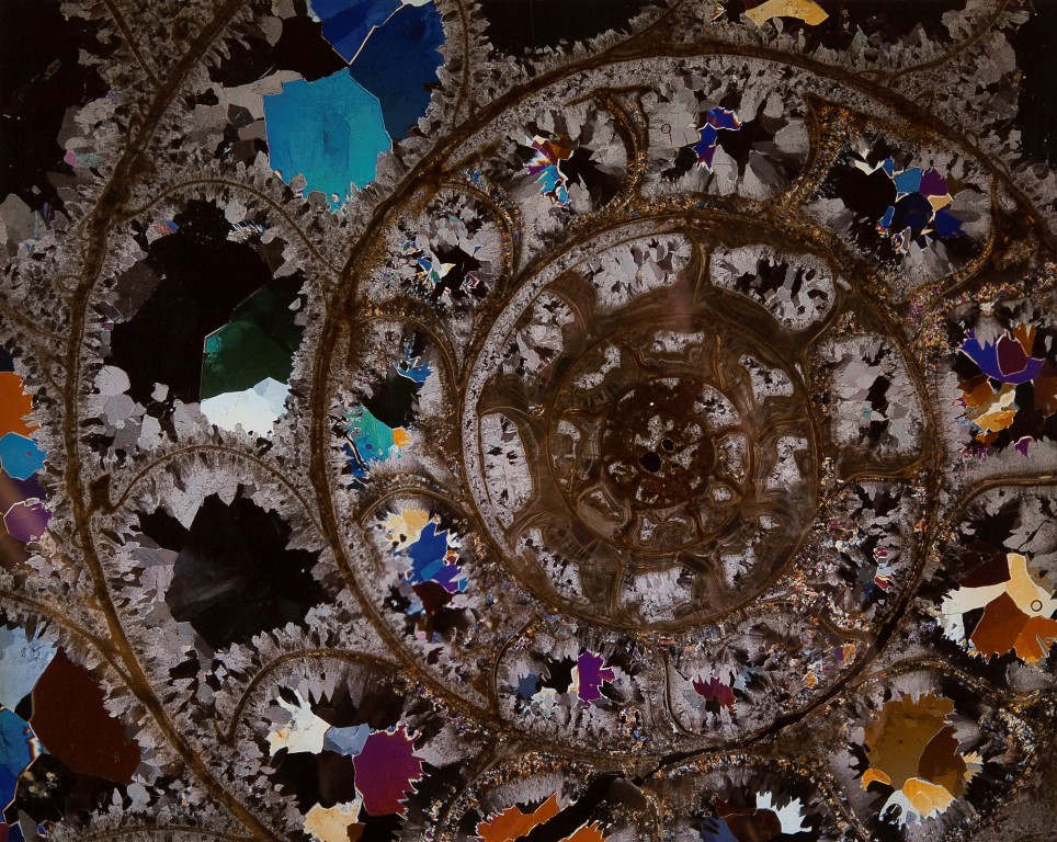 Dirk J. Wiersma - Ammoniet, ed. 6/50, 1989 - fotoprint op papier kopen? Bied vanaf 10!