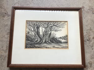 Niet of onleesbaar gesigneerd - Knotwilgen kopen? Bied vanaf 1!