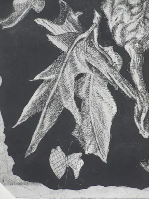 Ko Prange - Bijzondere vegetatie - Ets kopen? Bied vanaf 45!