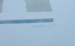 Marianne Roodenburg - Zonder titel kopen? Bied vanaf 25!